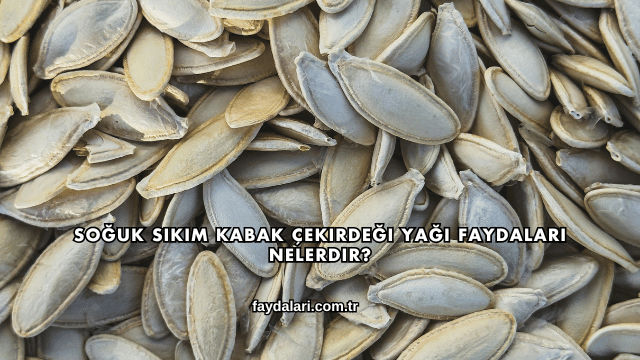 Soğuk Sıkım Kabak Çekirdeği Yağı Faydaları Nelerdir?