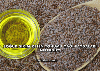 Soğuk Sıkım Keten Tohumu Yağı Faydaları Nelerdir?