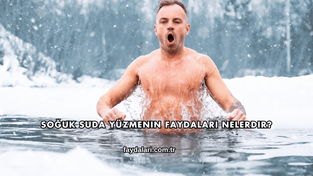 Soğuk Suda Yüzmenin Faydaları Nelerdir?