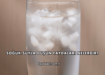 Soğuk Suyla Duşun Faydaları Nelerdir?