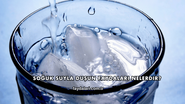 Soğuk Suyla Duşun Faydaları Nelerdir?
