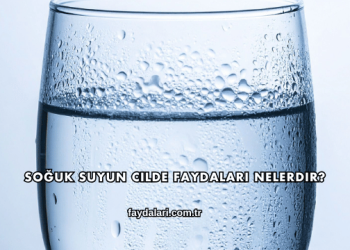 Soğuk Suyun Cilde Faydaları Nelerdir?