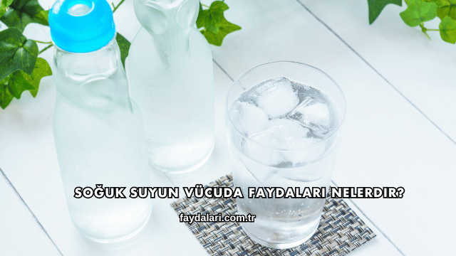 Soğuk Suyun Vücuda Faydaları Nelerdir?