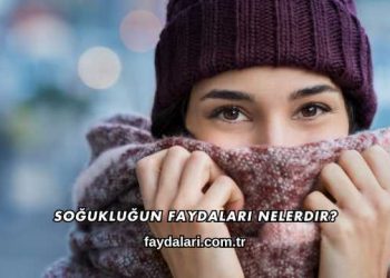 Soğukluğun Faydaları Nelerdir?