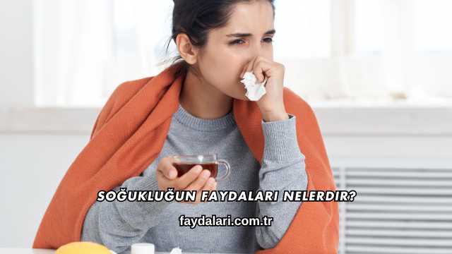 Soğukluğun Faydaları Nelerdir?