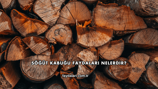 Söğüt Kabuğu Faydaları Nelerdir?