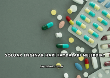 Solgar Enginar Hapı Faydaları Nelerdir?