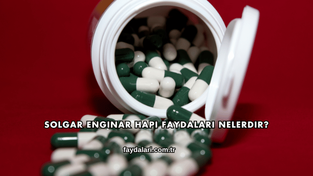 Solgar Enginar Hapı Faydaları Nelerdir?