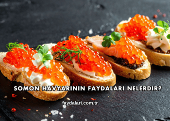 Somon Havyarının Faydaları Nelerdir?