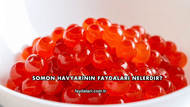 Somon Havyarının Faydaları Nelerdir?
