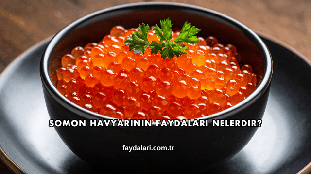 Somon Havyarının Faydaları Nelerdir?