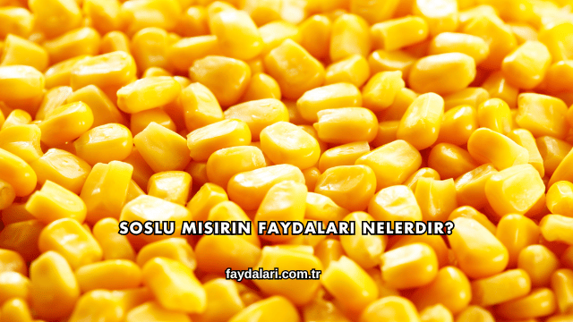 Soslu Mısırın Faydaları Nelerdir?