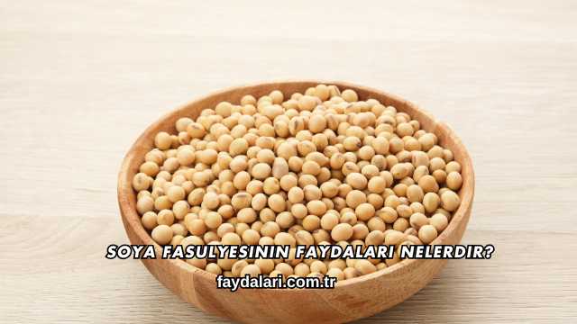 Soya Fasulyesinin Faydaları Nelerdir?
