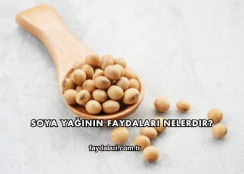 Soya Yağının Faydaları Nelerdir?