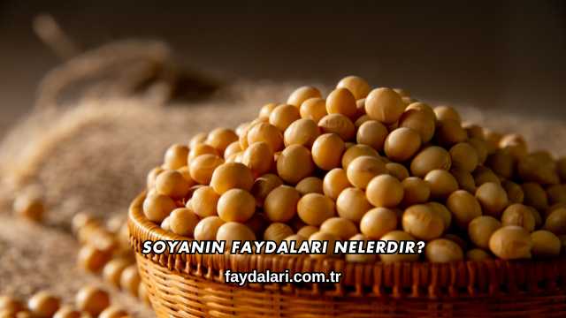 Soyanın Faydaları Nelerdir?