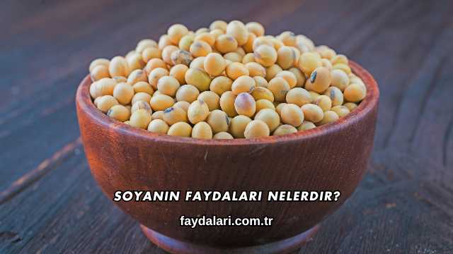 Soyanın Faydaları Nelerdir?