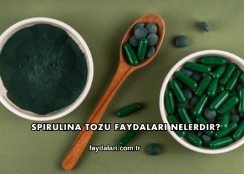 Spirulina Tozu Faydaları Nelerdir?