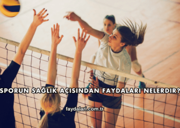 Sporun Sağlık Açısından Faydaları Nelerdir?