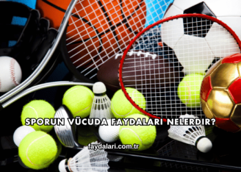 Sporun Vücuda Faydaları Nelerdir?
