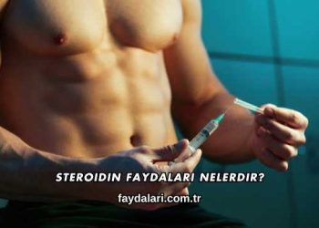 Steroidin Faydaları Nelerdir?
