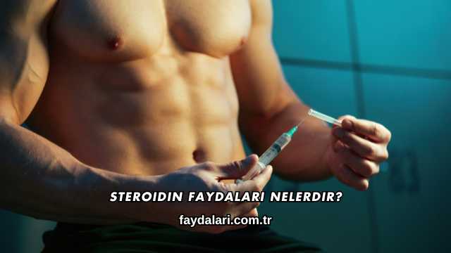 Steroidin Faydaları Nelerdir?