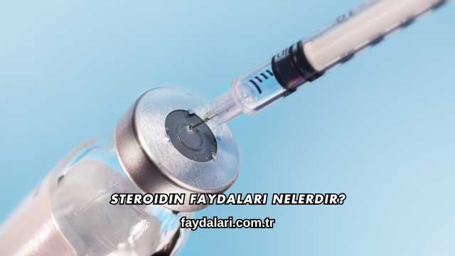 Steroidin Faydaları Nelerdir?