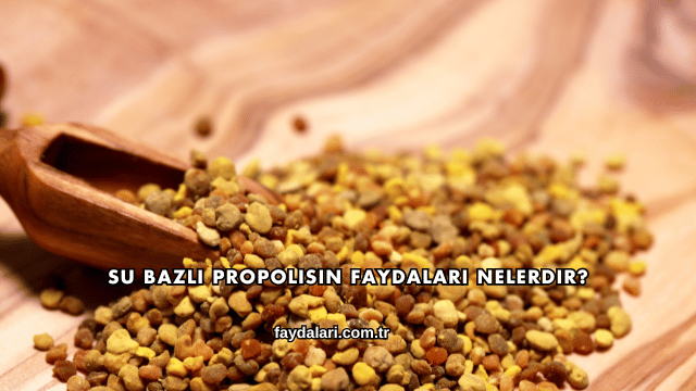 Su Bazlı Propolisin Faydaları Nelerdir?