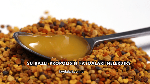 Su Bazlı Propolisin Faydaları Nelerdir?