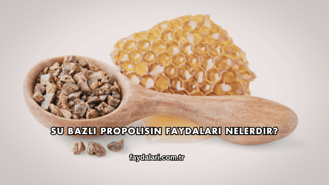 Su Bazlı Propolisin Faydaları Nelerdir?