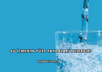 Su İçmenin Yüze Faydaları Nelerdir?