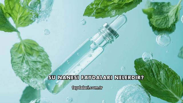 Su Nanesi Faydaları Nelerdir?