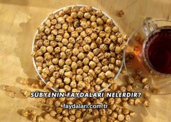 Sübyenin Faydaları Nelerdir?