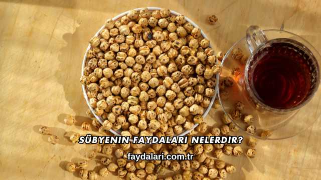 Sübyenin Faydaları Nelerdir?