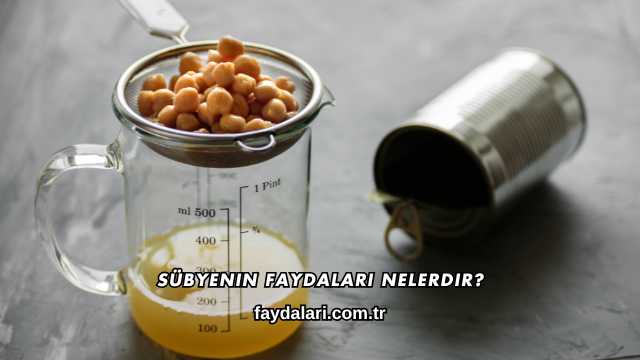 Sübyenin Faydaları Nelerdir?