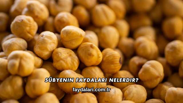Sübyenin Faydaları Nelerdir?