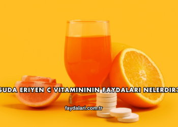 Suda Eriyen C Vitamininin Faydaları Nelerdir?
