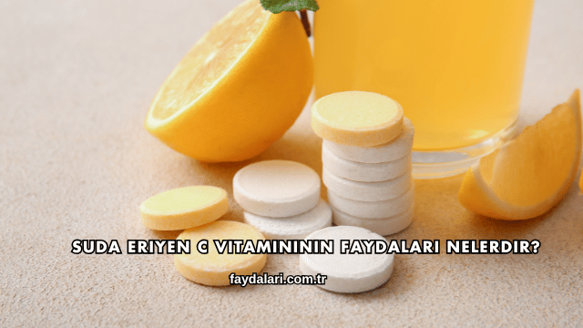 Suda Eriyen C Vitamininin Faydaları Nelerdir?