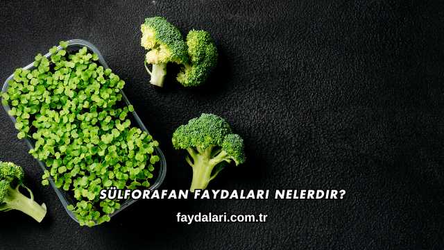 Sülforafan Faydaları Nelerdir?