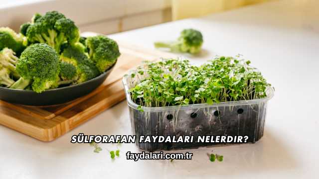 Sülforafan Faydaları Nelerdir?