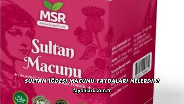 Sultan İğdesi Macunu Faydaları Nelerdir?