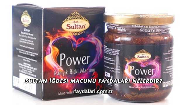 Sultan İğdesi Macunu Faydaları Nelerdir?