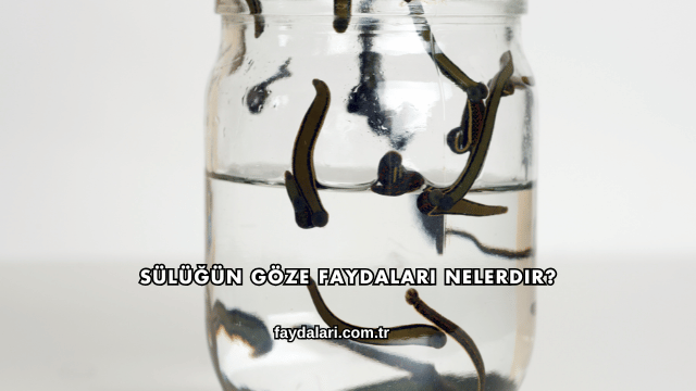 Sülüğün Göze Faydaları Nelerdir?