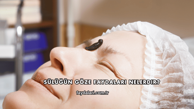Sülüğün Göze Faydaları Nelerdir?