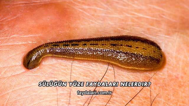 Sülüğün Yüze Faydaları Nelerdir?