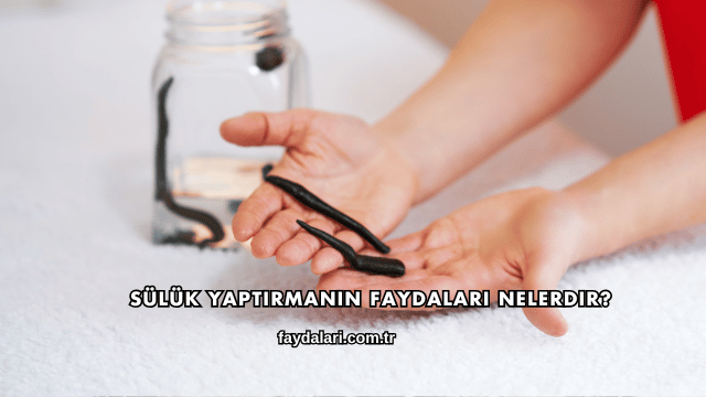 Sülük Yaptırmanın Faydaları Nelerdir?
