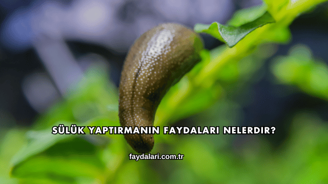 Sülük Yaptırmanın Faydaları Nelerdir?