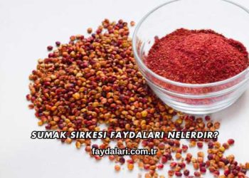 Sumak Sirkesi Faydaları Nelerdir?