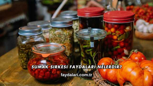 Sumak Sirkesi Faydaları Nelerdir?