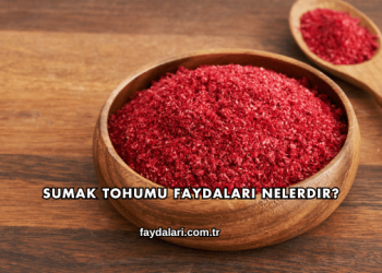 Sumak Tohumu Faydaları Nelerdir?