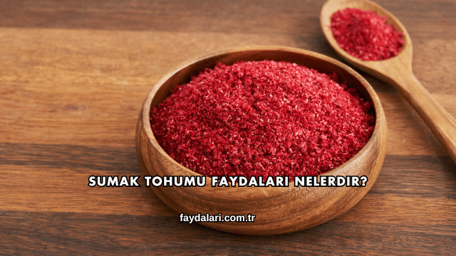 Sumak Tohumu Faydaları Nelerdir?
